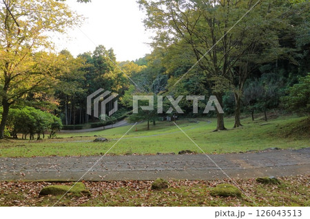 神奈川県・厚木市・七沢森林公園 神奈川県・厚木市・七沢森林公園 126043513