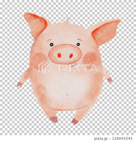 Piglet or piggy watercolor drawing. Hand drawn illustration of pig on white background. Clip art of cute farm animal character. Ideal for stickers, cards and baby educational cards Piglet or piggy watercolor drawing. Hand drawn illustration of pig on white background. Clip art of cute farm animal character. Ideal for stickers, cards and baby educational cards 126043545