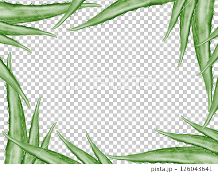 Aloe vera watercolor frame. Green leaf of the plant on a white background. Clip art botanical. Ideal for packaging cosmetics, posters of cosmetic clinics. Botanical succulent aloe. Aloe vera watercolor frame. Green leaf of the plant on a white background. Clip art botanical. Ideal for packaging cosmetics, posters of cosmetic clinics. Botanical succulent aloe. 126043641
