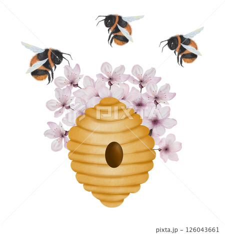Beehive with bees watercolor. Hand drawn bee house with flowers and bumblebees on isolated white background. Clip art of bumblebee dwelling. Ideal for honey shop design, natural cosmetics and bee 126043661