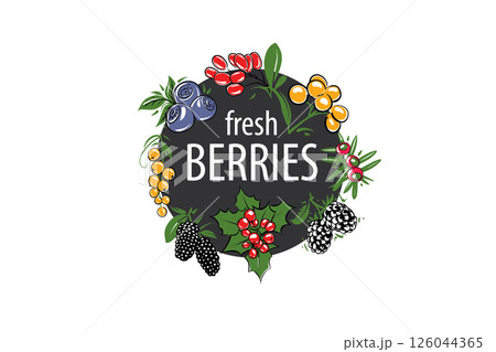 Vector logo with painted fresh berries. Vector logo with painted fresh berries. 126044365