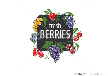 Vector logo with painted fresh berries. 126044368