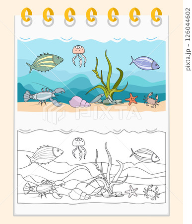 Coloring book Underwater Seabed Ocean Sea habitat Coloring book Underwater Seabed Ocean Sea habitat 126044602