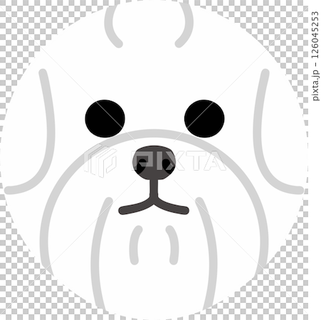 生氣的馬耳他犬圓形插圖 生氣的馬耳他犬圓形插圖 126045253