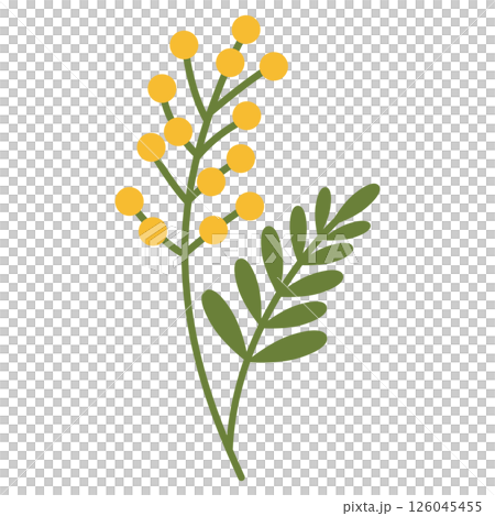 ミモザのアイコン ミモザのアイコン 126045455