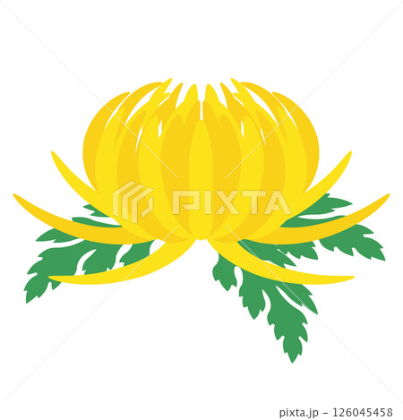 菊の花のアイコン 126045458