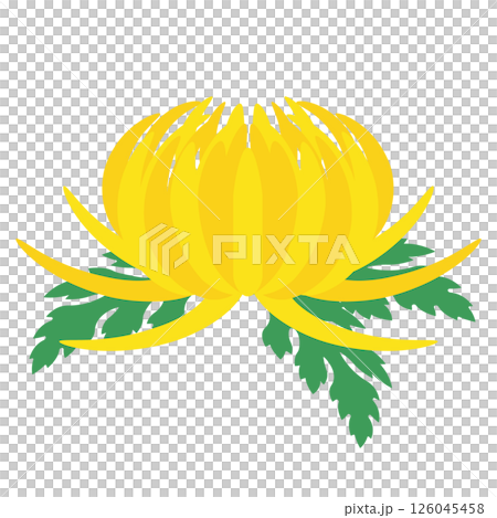 菊の花のアイコン 126045458