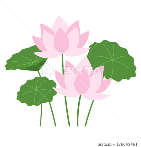 蓮の花のアイコン 126045461