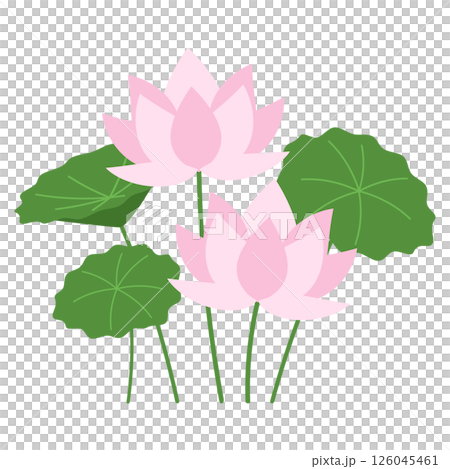 蓮花圖標 126045461