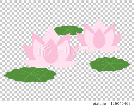 蓮花圖標 126045462