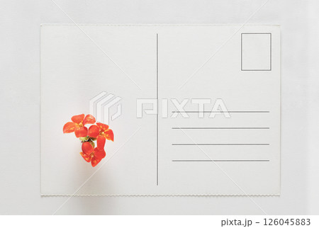 Blank postcard with flower Blank postcard with flower 126045883
