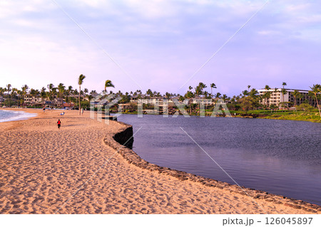 ハワイの休日　ハワイ島　パプナビーチパーク州立公園 126045897