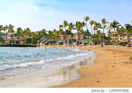 ハワイの休日 ハワイ島 パプナビーチパーク州立公園 ハワイの休日 ハワイ島 パプナビーチパーク州立公園 126045898