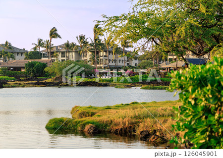ハワイの休日　ハワイ島　パプナビーチパーク州立公園 126045901