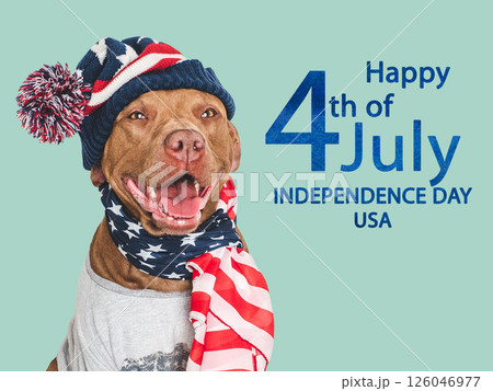 Happy Independence Day. American Flag and cute dog 126046977