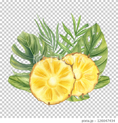 Two juicy pineapple slices and lush monstera and palm leaves watercolor illustration isolated background. Fruit and tropical leaves for summer promotions, healthy food packaging, or vacation branding 126047434