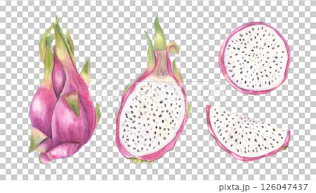 Watercolor illustration of pink pitaya set isolated background. Whole, halved with pulp and seeds, round slices clip art for healthy food branding, tropical menus, and superfood packaging. Watercolor illustration of pink pitaya set isolated background. Whole, halved with pulp and seeds, round slices clip art for healthy food branding, tropical menus, and superfood packaging. 126047437