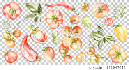 A hand-drawn watercolor illustration of ripe tomatoes, bell peppers, and chili peppers. Includes basil and green leaves, perfect for food, cooking, and nutrition-themed designs. 126047613