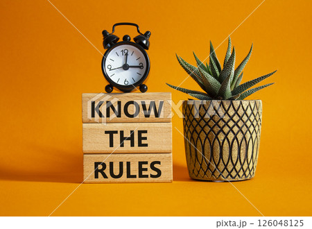 Know the rules symbol. Wooden blocks with words Know the rules. Beautiful orange background with succulent plant and alarm clock. Business and Know the rules concept. Copy space. 126048125