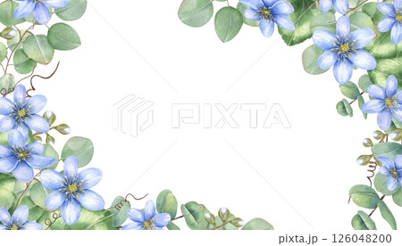 Watercolor floral frame with delicate blue hepatica flowers and eucalyptus branches with copy space for text. Botanical border for wedding invitations, spring greeting cards, and stationery design 126048200
