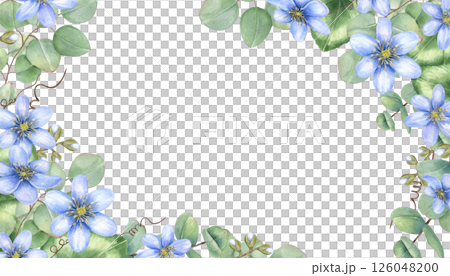 Watercolor floral frame with delicate blue hepatica flowers and eucalyptus branches with copy space for text. Botanical border for wedding invitations, spring greeting cards, and stationery design 126048200