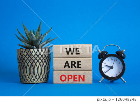We are open symbol. Concept words We are open on wooden blocks. Beautiful blue background with succulent plant and alarm clock. Business and We are open concept. Copy space 126048248