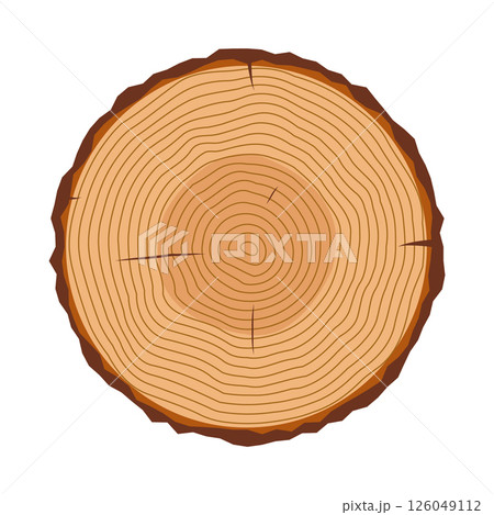 Tree Trunk Cross Section with Growth Rings Vector Illustration. A detailed cross section of a tree trunk, showcasing clearly visible annual growth rings that radiate outward from the center. 126049112