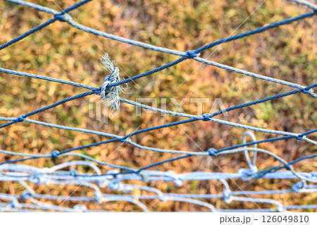Rope knots are used to repair weathered and tangled green nets. 126049810