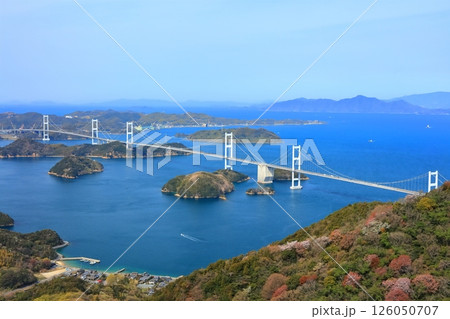 【愛媛県】桜咲く春の亀老山展望台から眺めた来島海峡大橋(しまなみ海道) 【愛媛県】桜咲く春の亀老山展望台から眺めた来島海峡大橋(しまなみ海道) 126050707