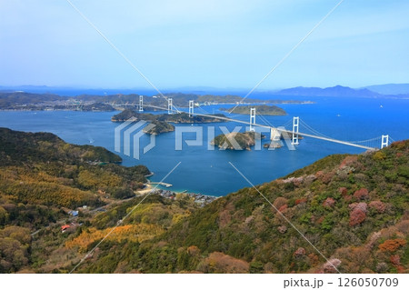 【愛媛県】桜咲く春の亀老山展望台から眺めた来島海峡大橋(しまなみ海道) 【愛媛県】桜咲く春の亀老山展望台から眺めた来島海峡大橋(しまなみ海道) 126050709