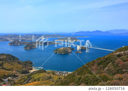 【愛媛県】桜咲く春の亀老山展望台から眺めた来島海峡大橋（しまなみ海道） 126050716