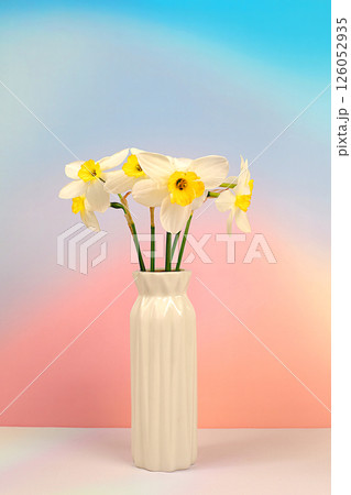 Beautiful flyer with daffodils on elegant bright background.Abstract floral arrangement for screen and design template. Spring greeting card, elegant natural beauty concept, gift for loved ones Beautiful flyer with daffodils on elegant bright background.Abstract floral arrangement for screen and design template. Spring greeting card, elegant natural beauty concept, gift for loved ones 126052935