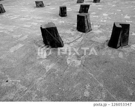 benches in a park 126053347