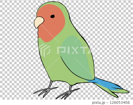 Colorful Lovebirds 126053408