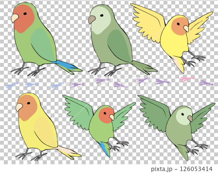 色とりどり コザクラインコ まとめ 126053414