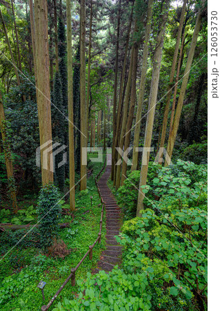 伏姫籠穴 126053730