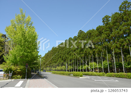 宝ヶ池公園　国際会議場への道　京都市左京区上高野 126053743