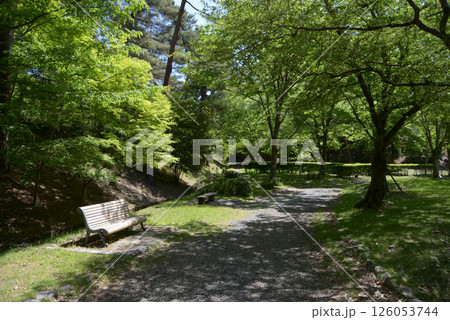 宝ヶ池公園　京都市左京区上高野 126053744