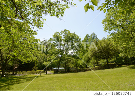 宝ヶ池公園　京都市左京区上高野 126053745