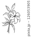 シンプルな百合の花のイラスト 126053905