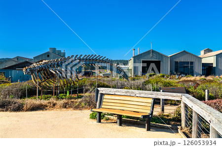 Whale skeleton exhibit in front of marine laboratory buildings in Santa Cruz, California, surrounded by coastal vegetation and a walking path under a clear blue sky 126053934