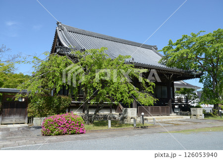 妙満寺 大書院 京都市左京区岩倉 妙満寺 大書院 京都市左京区岩倉 126053940