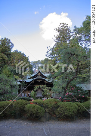京都ウサギの神社 岡崎神社 京都ウサギの神社 岡崎神社 126054121