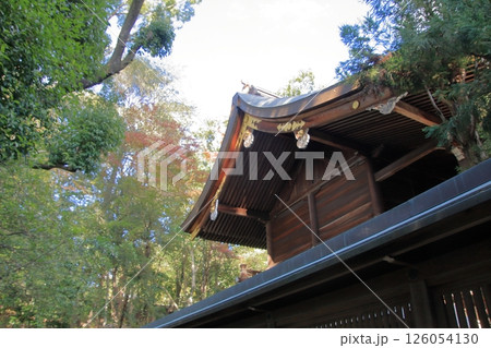京都ウサギの神社 岡崎神社 京都ウサギの神社 岡崎神社 126054130
