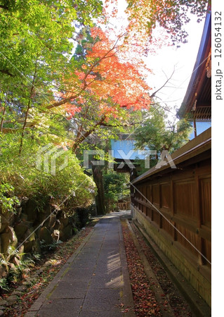 京都ウサギの神社 岡崎神社 京都ウサギの神社 岡崎神社 126054132