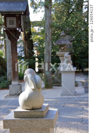 京都ウサギの神社 岡崎神社 京都ウサギの神社 岡崎神社 126054137