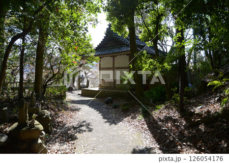 岩屋寺　大石神社からの参道　京都市山科区 126054176