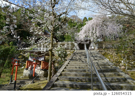 岩屋寺 参道の石段 京都市山科区 岩屋寺 参道の石段 京都市山科区 126054315
