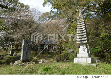 岩屋寺 境内の十三重石塔 京都市山科区 岩屋寺 境内の十三重石塔 京都市山科区 126054322