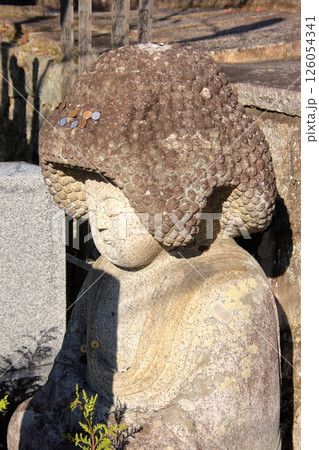 京都幕末とアフロ仏のくろ谷金戒光明寺の紅葉 126054341
